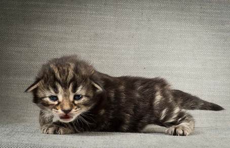 20140401_Y-kull_2_weeks_0064