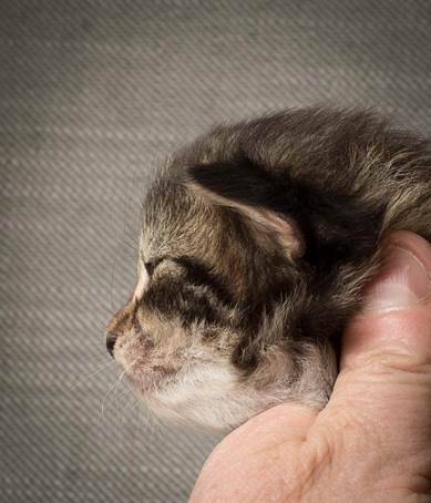 20140401_Y-kull_2_weeks_0063