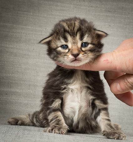 20140401_Y-kull_2_weeks_0059