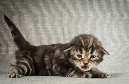 20140401_Y-kull_2_weeks_0065