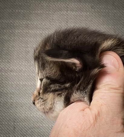 20140401_Y-kull_2_weeks_0070