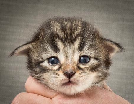 20140401_Y-kull_2_weeks_0069