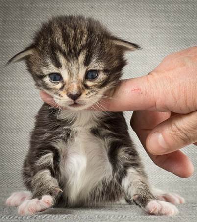 20140401_Y-kull_2_weeks_0068