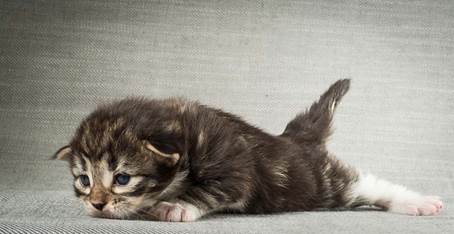 20140401_Y-kull_2_weeks_0080