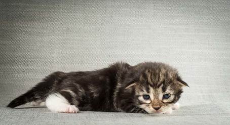 20140401_Y-kull_2_weeks_0079