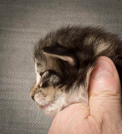 20140401_Y-kull_2_weeks_0078