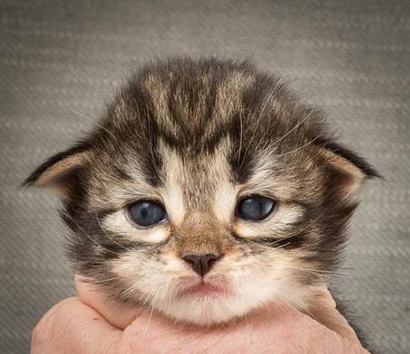 20140401_Y-kull_2_weeks_0077