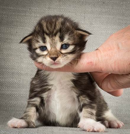 20140401_Y-kull_2_weeks_0076