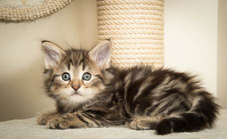 20140502_Y-kull_45_days_0016