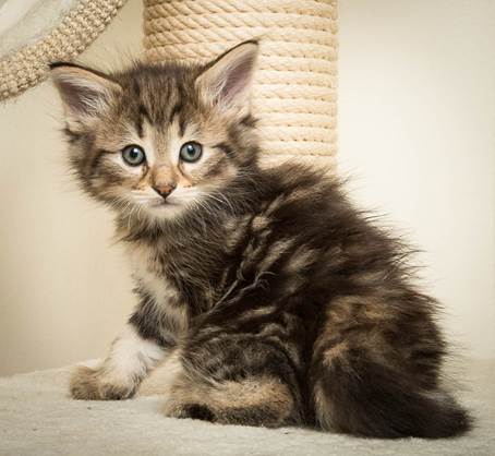 20140502_Y-kull_45_days_0011