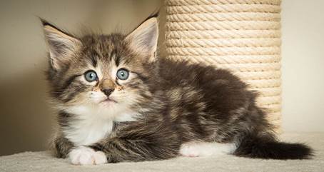 20140502_Y-kull_45_days_0028