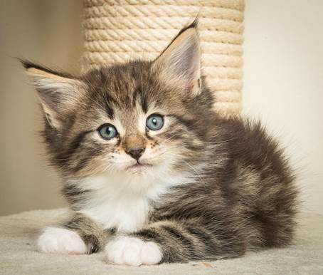 20140502_Y-kull_45_days_0026