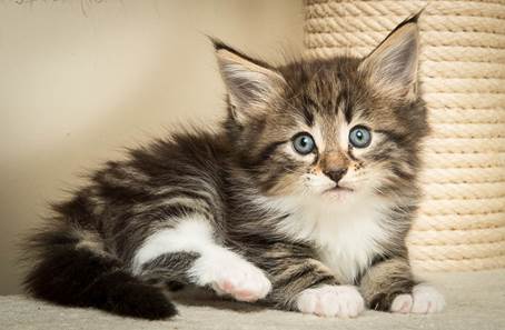 20140502_Y-kull_45_days_0032