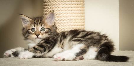 20140502_Y-kull_45_days_0042