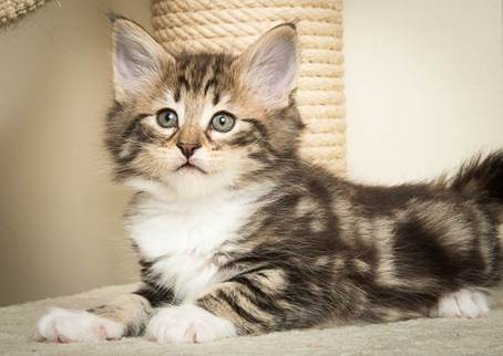 20140502_Y-kull_45_days_0041