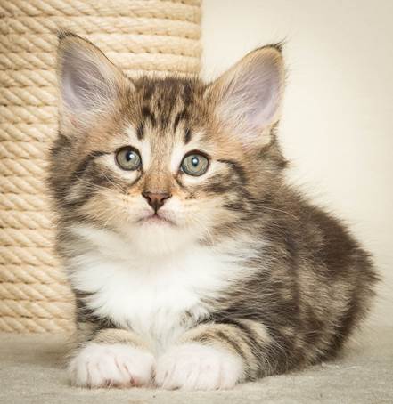 20140502_Y-kull_45_days_0039