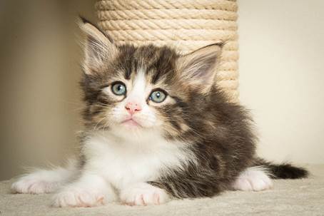 20140502_Y-kull_45_days_0057