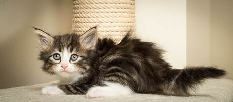 20140502_Y-kull_45_days_0059