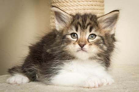 20140502_Y-kull_45_days_0070