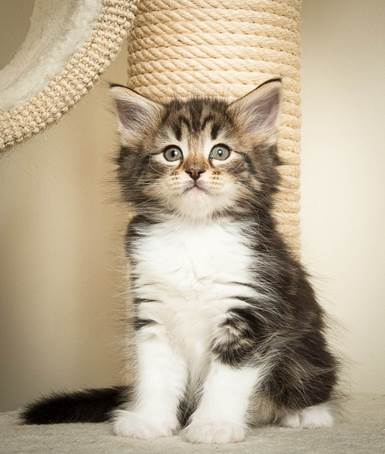 20140502_Y-kull_45_days_0069