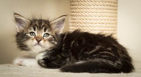 20140502_Y-kull_45_days_0072