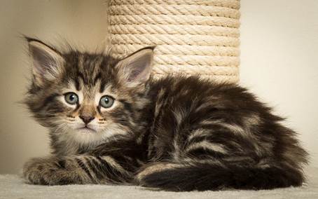 20140502_Y-kull_45_days_0078