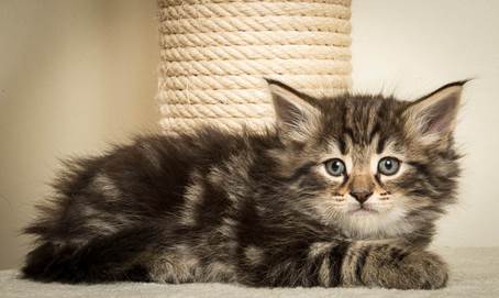 20140502_Y-kull_45_days_0075