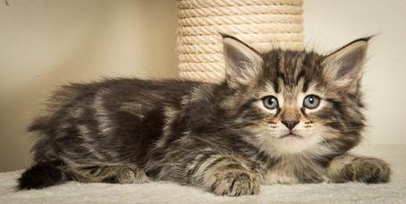 20140502_Y-kull_45_days_0084