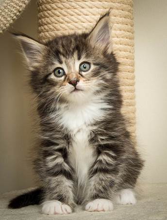 20140502_Y-kull_45_days_0093