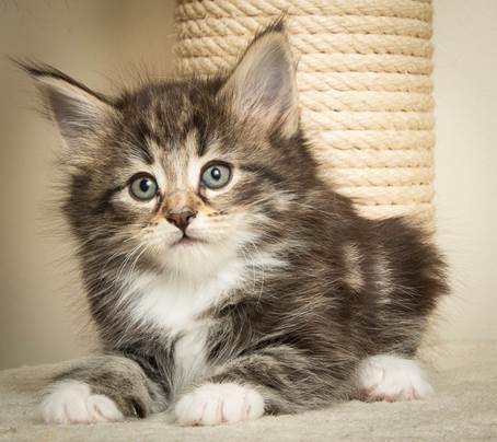 20140502_Y-kull_45_days_0091