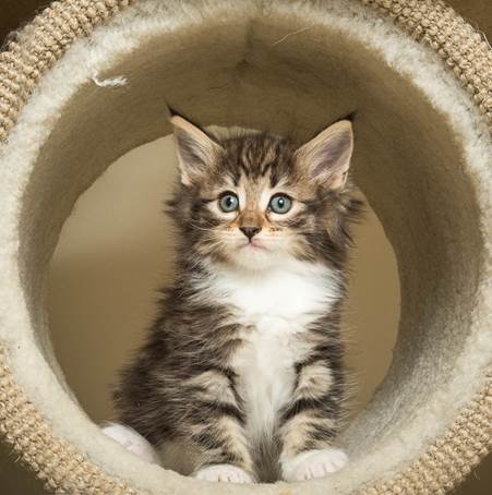 20140502_Y-kull_45_days_0106