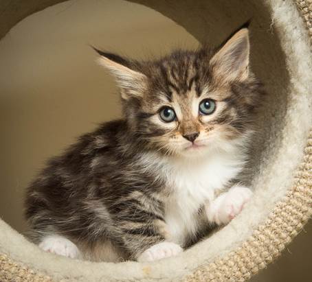 20140502_Y-kull_45_days_0104