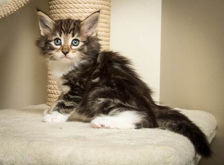 20140502_Y-kull_45_days_0110