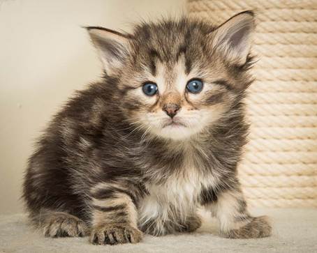 20140415_Y-kull_4_weeks_0002