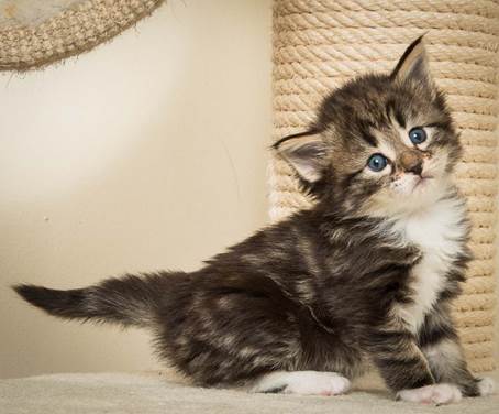 20140415_Y-kull_4_weeks_0015