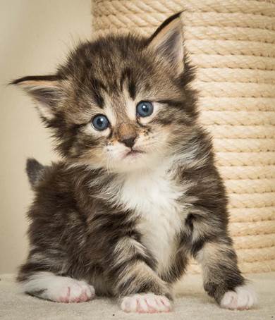 20140415_Y-kull_4_weeks_0013