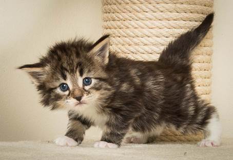 20140415_Y-kull_4_weeks_0010