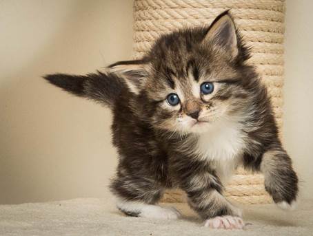 20140415_Y-kull_4_weeks_0016