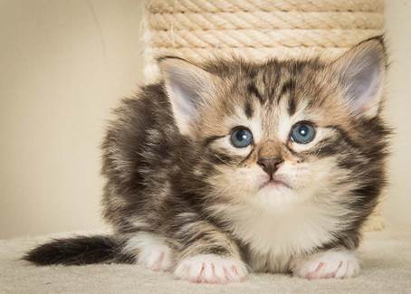 20140415_Y-kull_4_weeks_0021