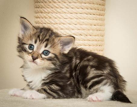 20140415_Y-kull_4_weeks_0023