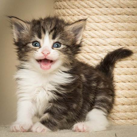 20140415_Y-kull_4_weeks_0030