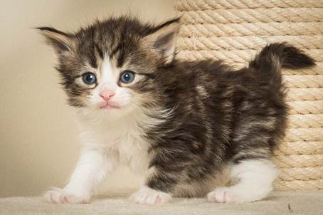 20140415_Y-kull_4_weeks_0029