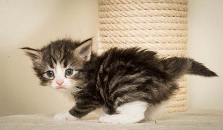 20140415_Y-kull_4_weeks_0028