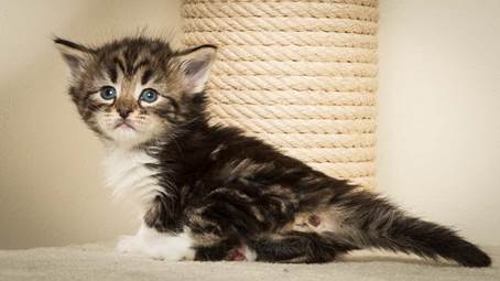 20140415_Y-kull_4_weeks_0040