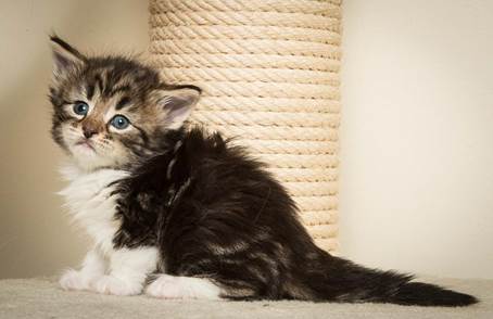 20140415_Y-kull_4_weeks_0037