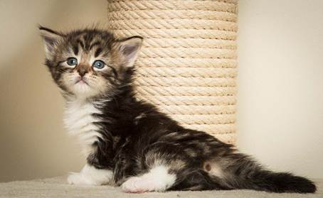 20140415_Y-kull_4_weeks_0041