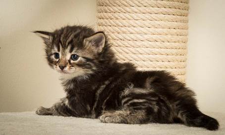 20140415_Y-kull_4_weeks_0053