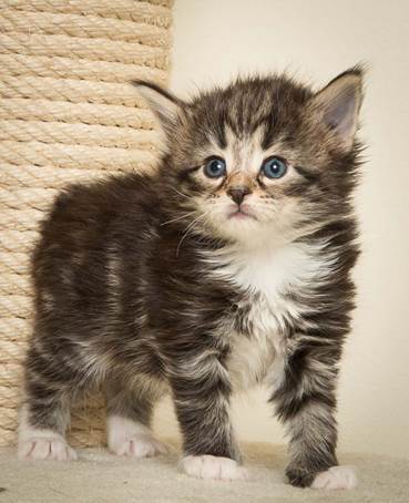 20140415_Y-kull_4_weeks_0057