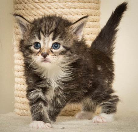 20140415_Y-kull_4_weeks_0056