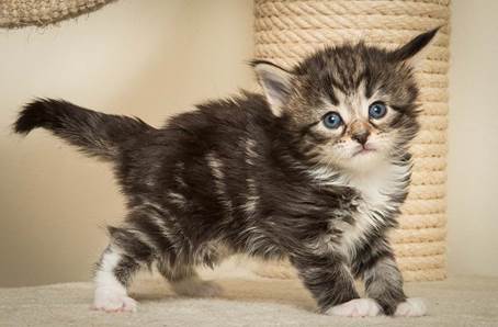 20140415_Y-kull_4_weeks_0061